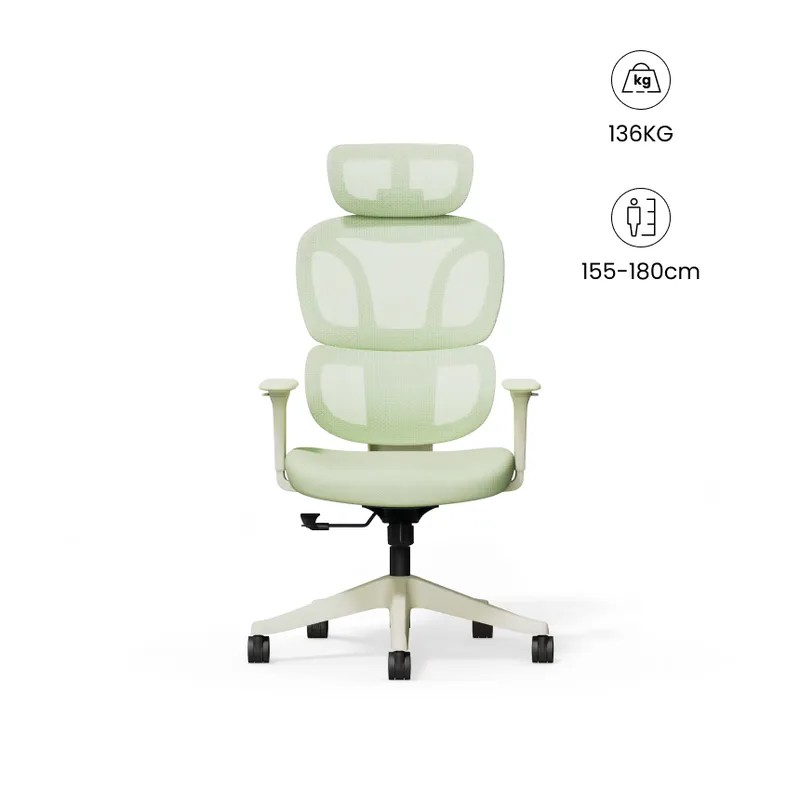 FlexiSpot BS5 — chaise ergonomique