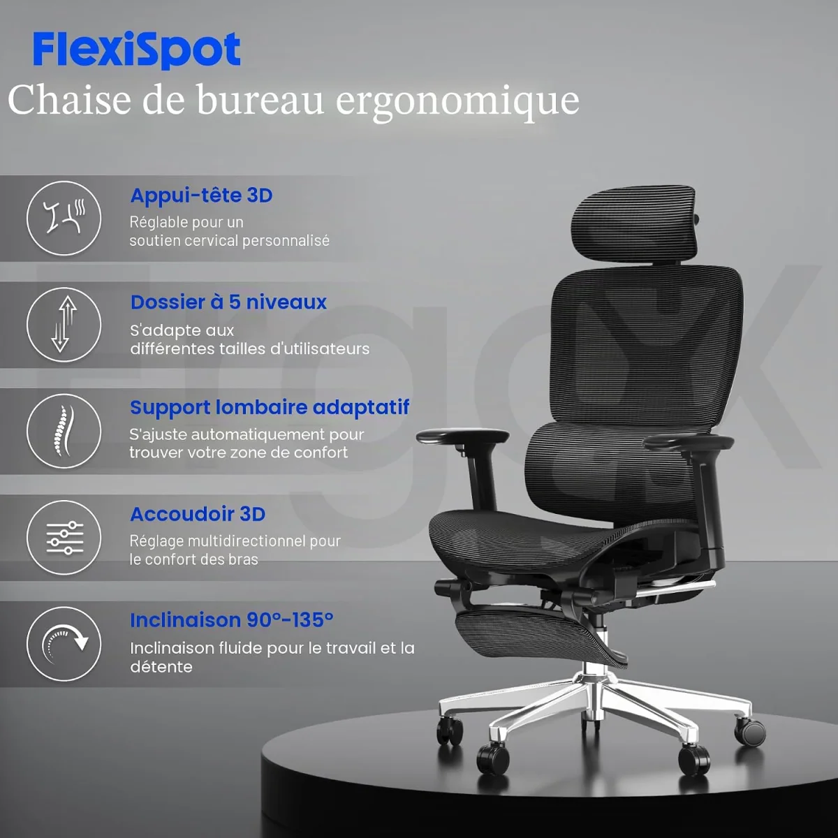 FlexiSpot ErgoX — chaise ergonomique