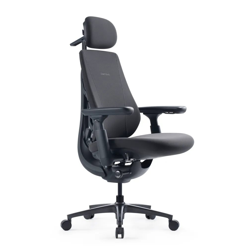 LiberNovo Maxis Electric, coloris graphite, vue de trois quarts